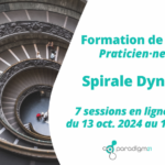 Formation Niveau 2 à la Spirale Dynamique (online)